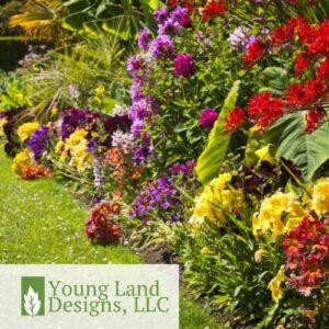 How to Make Your Landscape in Lafayette LA Look Good | Young Land Designs | Lafayette LA | Landscape. Landscaping, Lawn Care